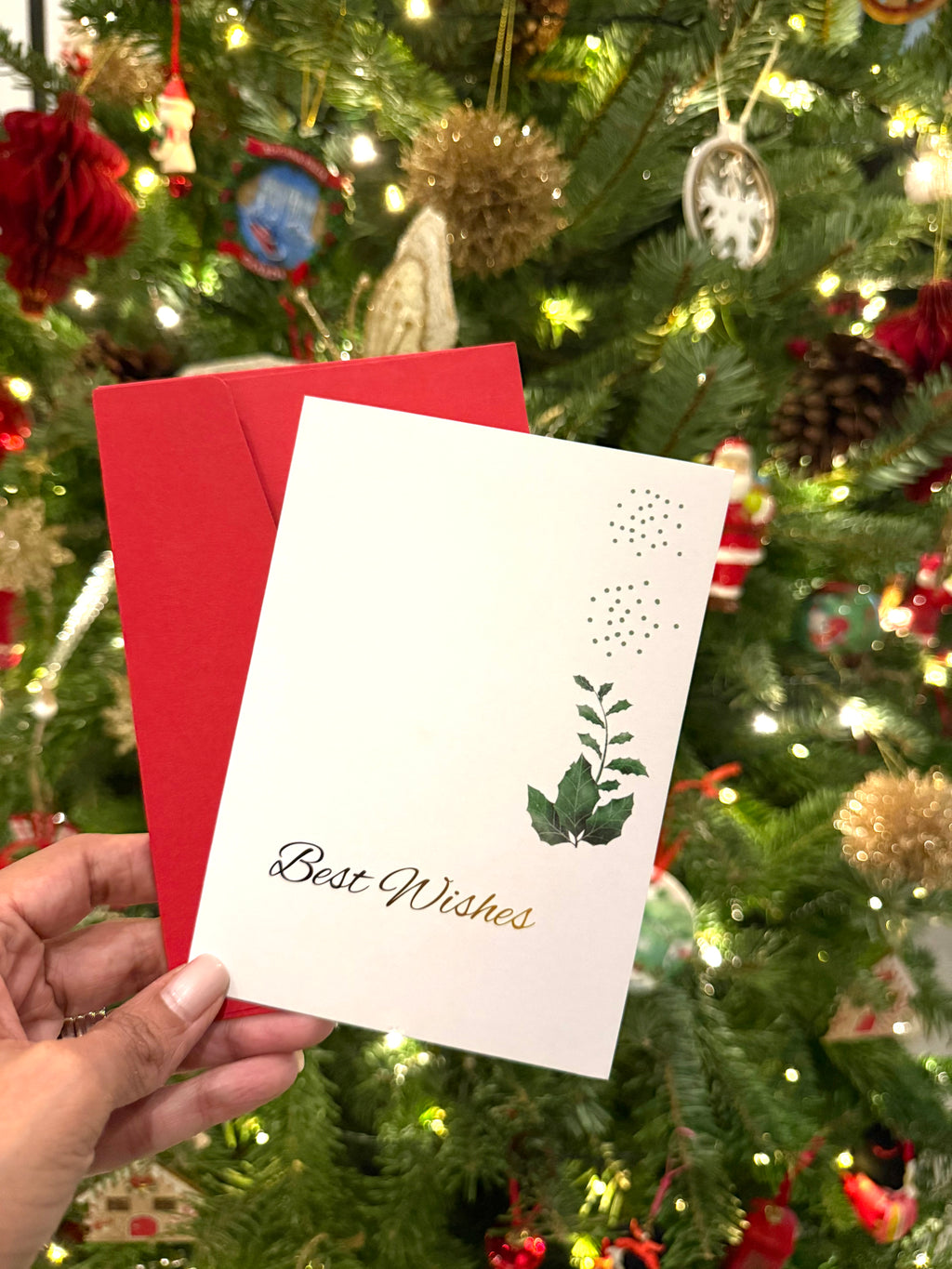 All Seasons Modern Greeting